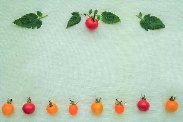 红色和黄色的圣女果和叶子装饰框架在浅绿色的布背景下排列图片下载