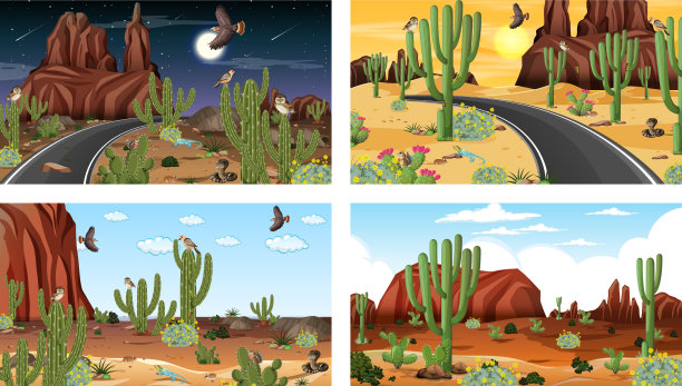 不同场景的沙漠森林景观图片下载