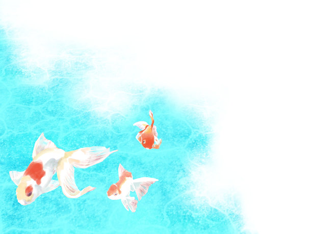 金鱼。图片下载