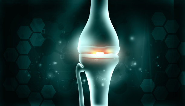人体膝关节解剖学图片下载