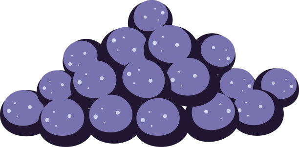 孤立的葡萄果实图片下载