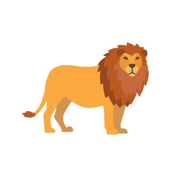 扁平的狮子孤立在白色的背景图片下载