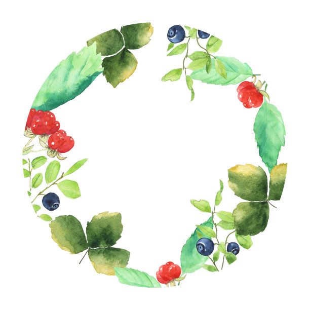 圆形框架与蓝莓，红色浆果，绿色叶子孤立在白色背景。水彩手绘插图。石树莓、覆盆子。完美的印刷，卡片，海报。副本的空间。图片下载