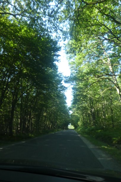 阴暗的路图片下载