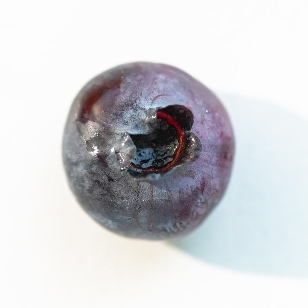 一颗巨大而新鲜的越桔图片下载