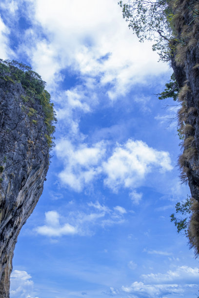 山顶上长着一棵大树。美丽的蓝天和抽象的形状与复制空间。登山崖旅游目的地。图片下载