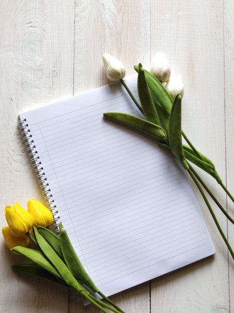 黄白色的郁金香花束在白色背景的笔记本上图片下载