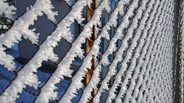 金属丝栅栏上毛茸茸的霜图片下载