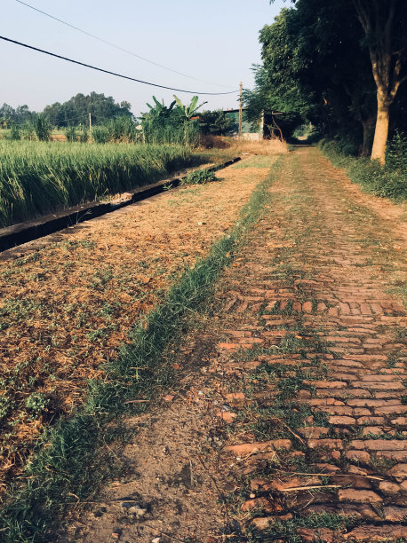 越南乡村的旧砖路图片下载