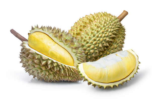 榴莲果，果肉分离在白色背景上图片下载