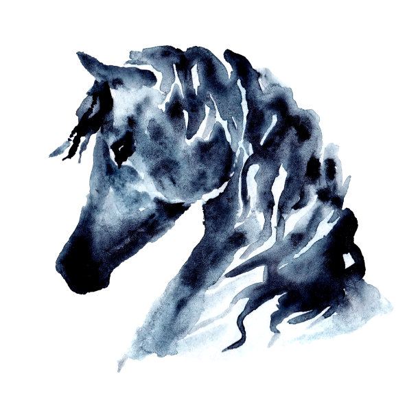 鬃毛随风飘扬的马头。水彩或水墨手画马鼻子。图片下载