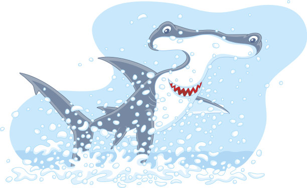 锤头鲨跳出水面图片下载