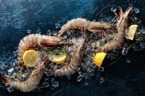 新鲜虎虾配柠檬，迷迭香，碎冰，深蓝色背景。图片下载