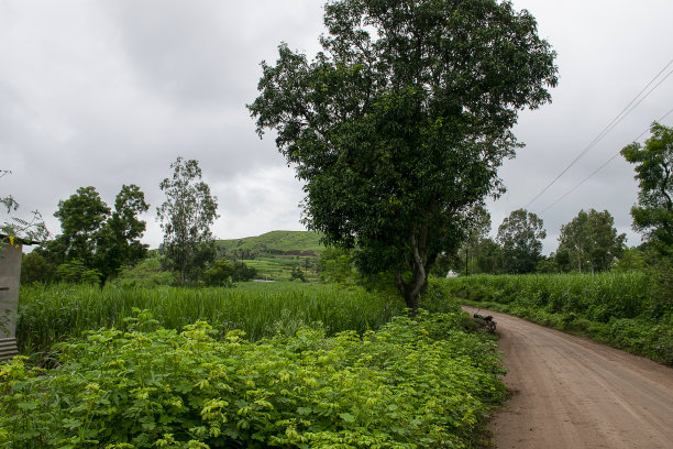 空的弯曲的红色土壤路径通过农田的库存照片。弯弯曲曲的小路拐角上有一棵大树，背景里有云朵。停放在树下的自行车在印度马哈拉施特拉邦科尔哈普尔的乡村。图片下载