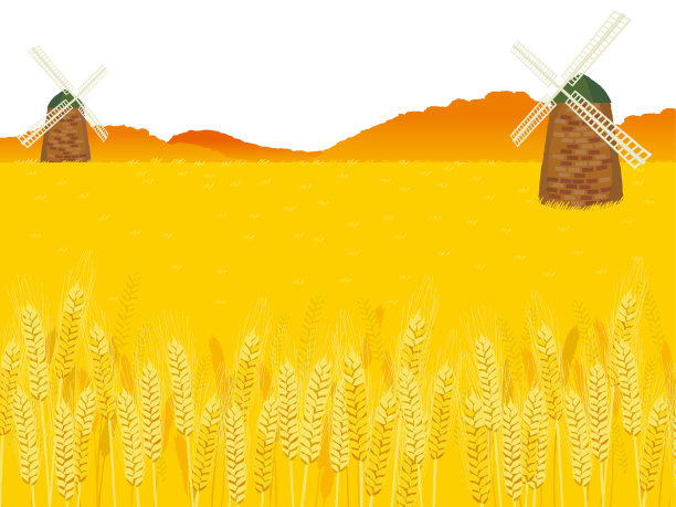 一片成熟的麦田，远处有磨坊。图片下载