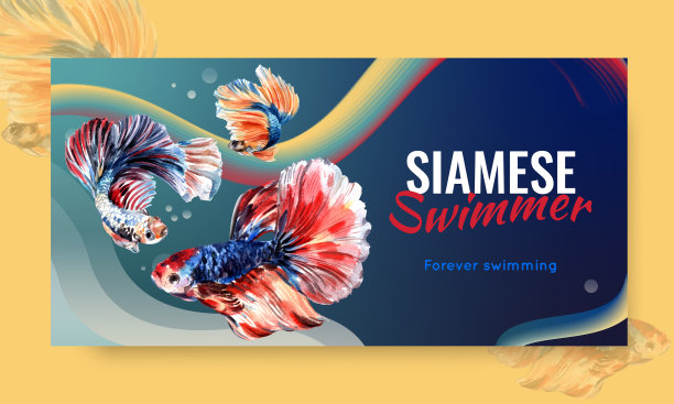 捻模板与暹罗战斗鱼图片下载