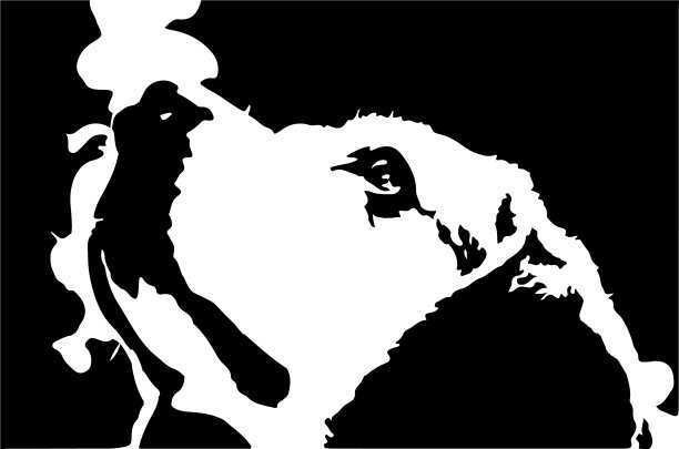 狗在背景图片下载