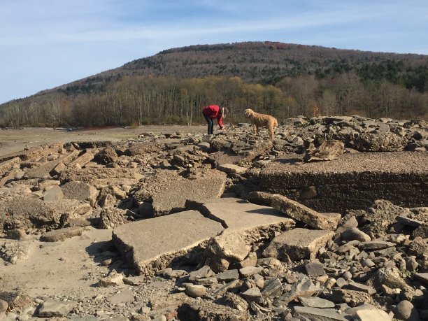 水库里的女人和狗图片下载
