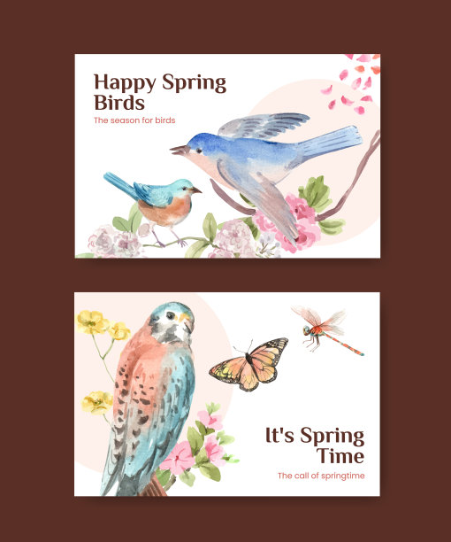 Facebook模板与春天和鸟的概念图片下载