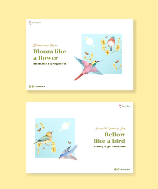 Facebook模板与春天和鸟的概念图片下载