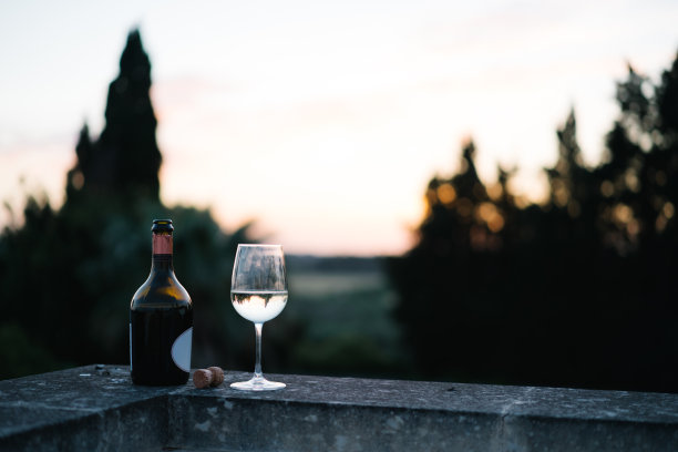 在屋顶露台上欣赏一瓶葡萄酒和一杯普罗赛克葡萄酒图片下载
