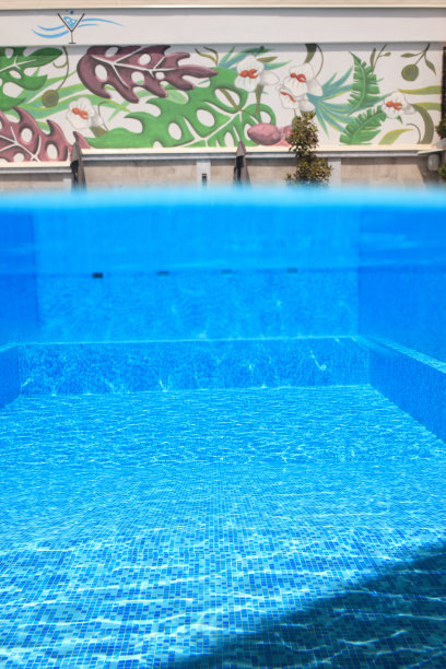 夏天的乐趣。水下游泳池的照片图片下载