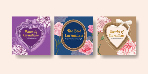 横幅模板与康乃馨花的概念图片下载