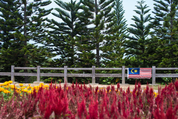 美丽的花园公园的木栅栏上挂着一面马来西亚国旗图片下载