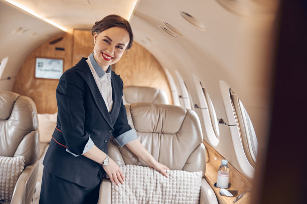在私人飞机上快乐微笑的美丽女商人图片下载
