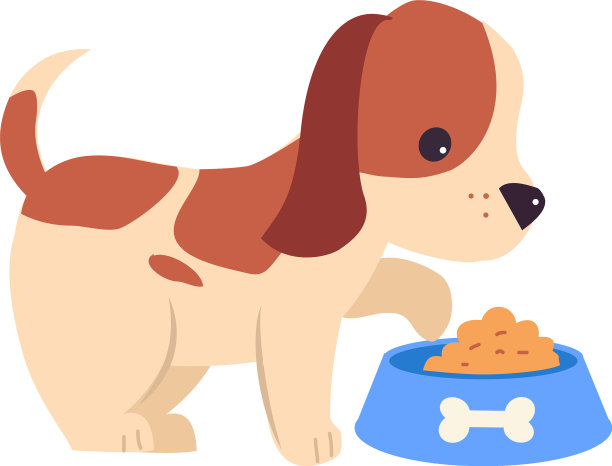 可爱的小狗狗吃碗里可爱的宠物图片下载
