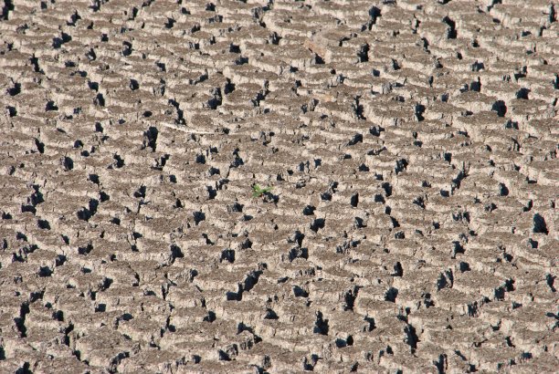 干裂的土地：全球变暖背景图片下载