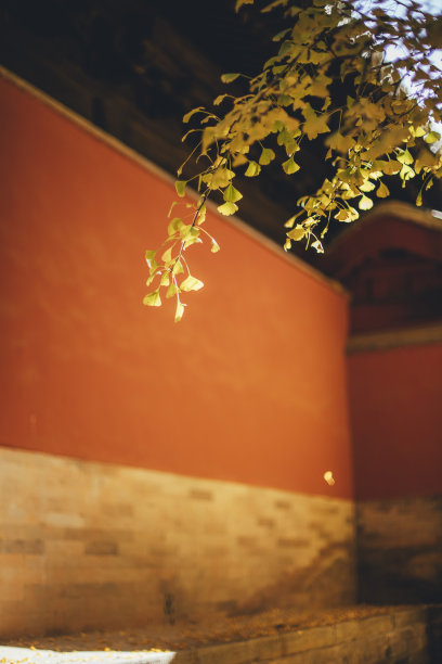 紫禁城之秋图片下载