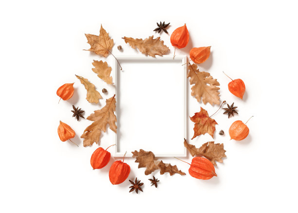 白色背景上是一个空的相框、干燥的枫树和橡树叶、酸浆、种子和八角星。秋，秋，感恩节概念。平的。前视图。副本的空间。图片下载