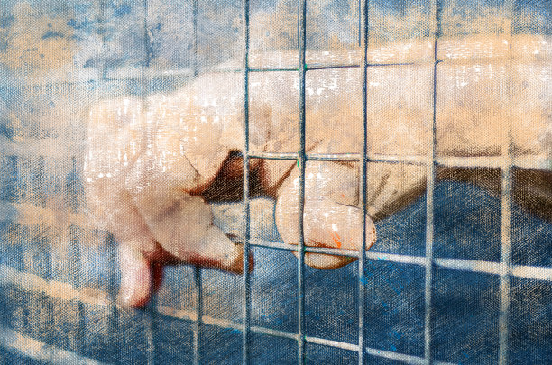 一个女人右手握着金属格栅的特写图片下载