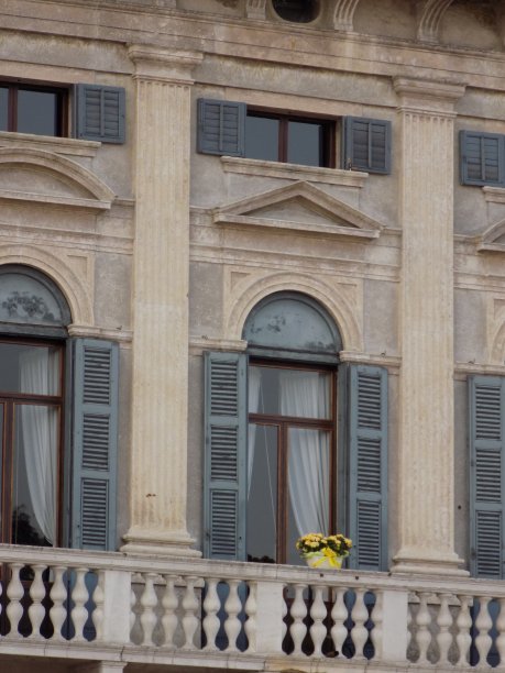 阳台上黄色的花盆，上面开着黄色的花图片下载