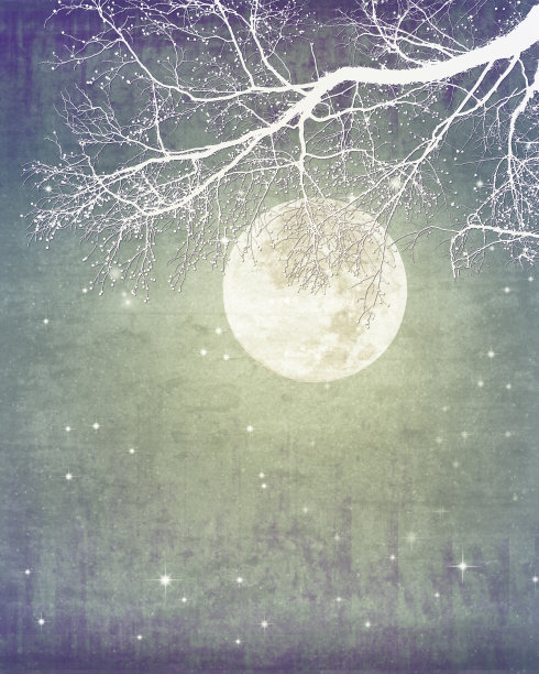 梦幻月亮，树，星星与复制空间图片下载