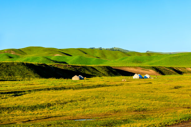 那拉提草原为新疆山地自然景观。图片下载
