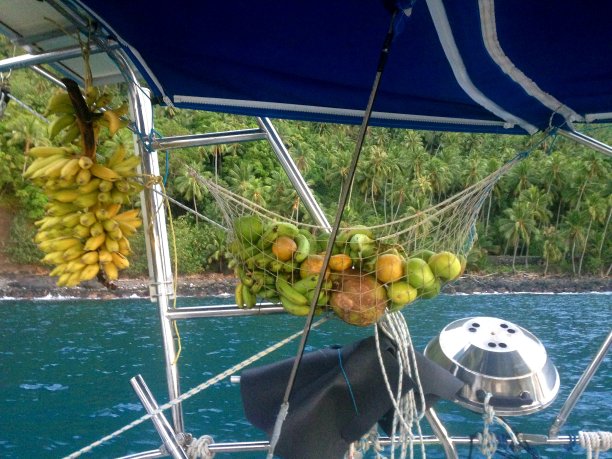 船上有很多水果图片下载