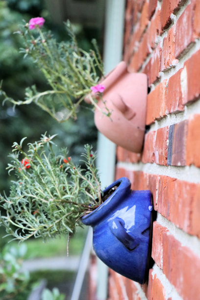 贴在砖墙上的户外花盆图片下载