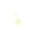Safed Musli自然治疗性虚弱和阳痿阿育吠陀草药数字艺术插图。健康有机矿泉植物广泛应用于治疗、制剂、天然用途。图片下载