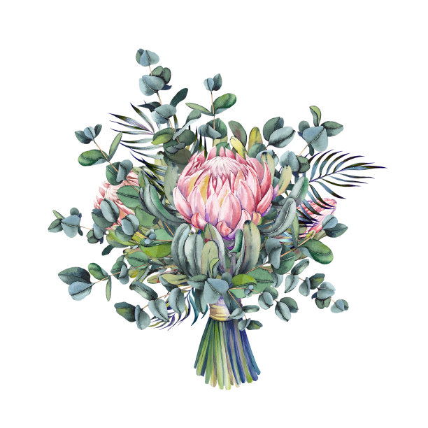 桉树叶和白色背景上奇异的变形金刚花的花束。图片下载