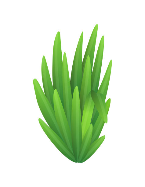 草或灌木丛中。绿色现实的春天小草。新鲜植物，花园植物绿色，草本植物和叶子病媒分离上白色。天然草坪草甸灌木、花卉植被图片下载