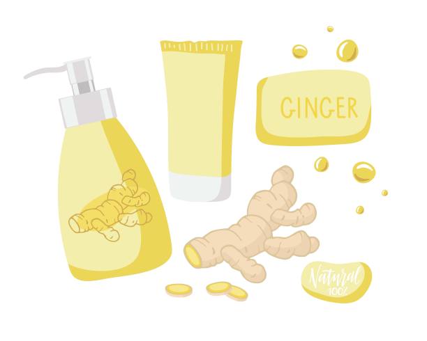 含鳄梨的天然化妆品。成熟的牛油果，整个或切片，奶油或磨砂，洗发水或洗液罐和管，肥皂。身体、面部皮肤、头发护理。包装设计。卡通矢量插图。图片下载