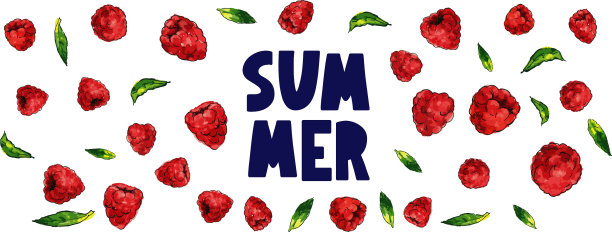 夏季出售横幅与水果树莓浆果图片下载