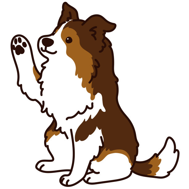 简单的设得兰牧羊犬坐着挥手图片下载
