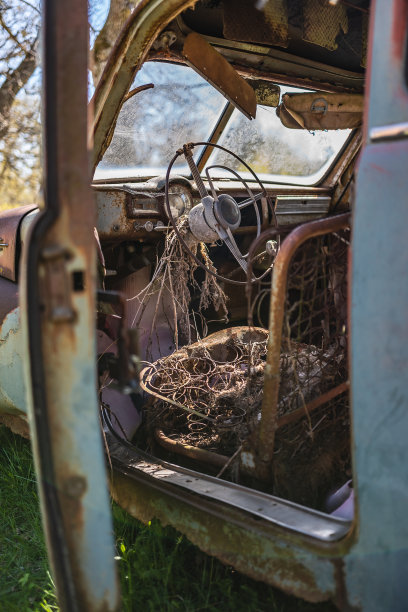 在一辆废弃的车里图片下载