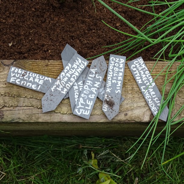 用石板做的花园植物标记，横放在一块木板上图片下载