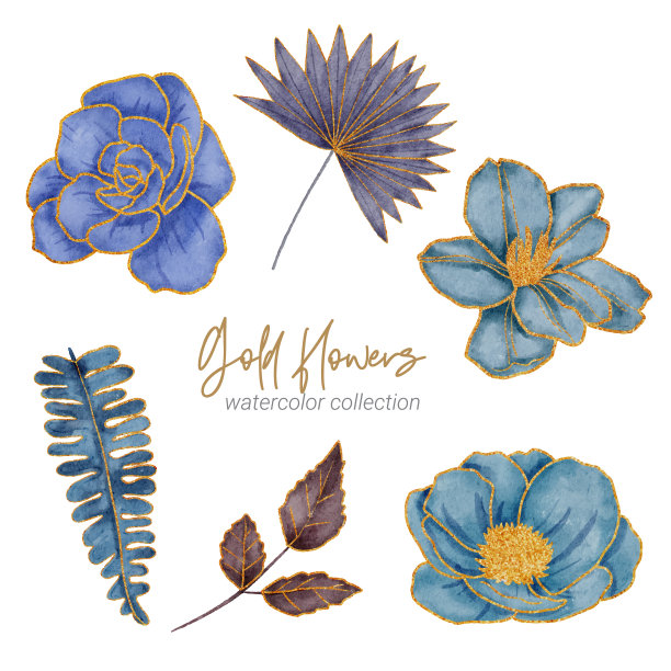 金花水彩手绘收藏图片下载