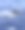 领航鲸在蔚蓝的地中海自由航行图片下载