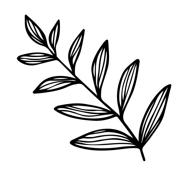 树枝与树叶手绘黑色涂鸦图片下载